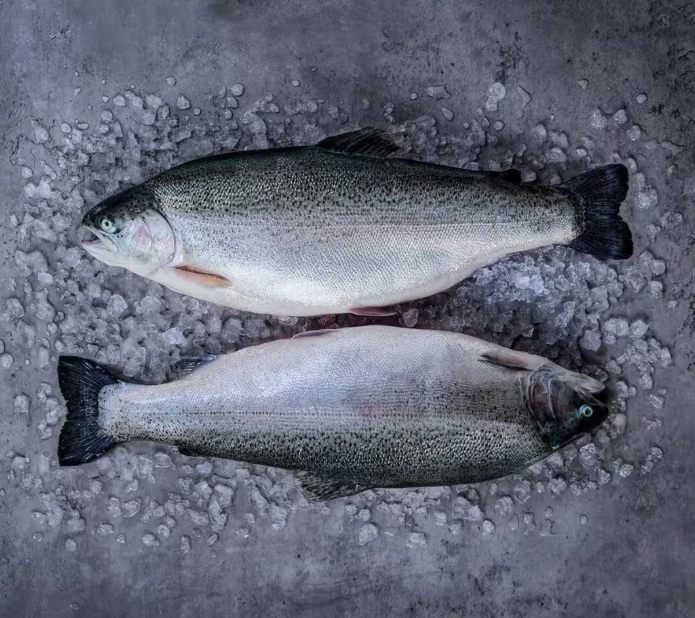 Pstrąg Tęczowy Patroszony Surowy Tusza Tusze 5kg Mrożony
