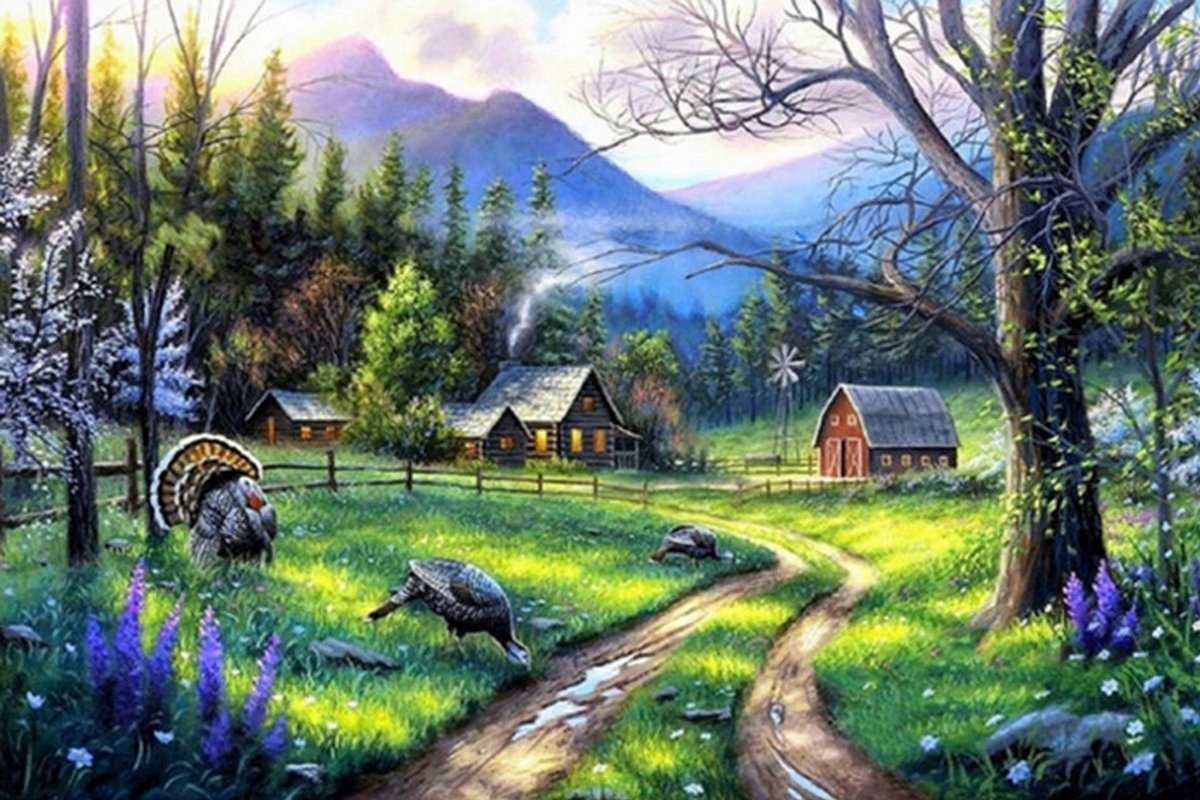 Diamantová Výšivka Diamond Painting Mozaika Horská Polana 45x65 cm K