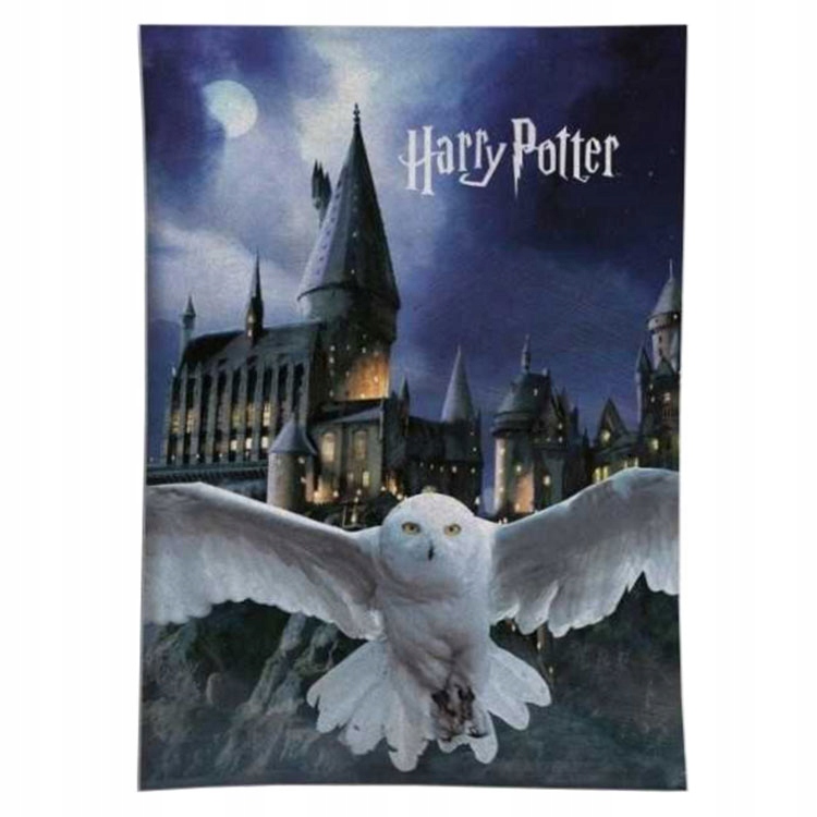 

Koc polarowy Harry Potter (87662) Sowa Hedwiga