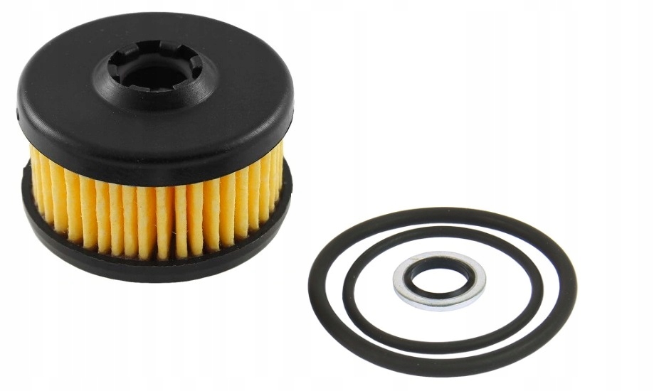 

Valtek Filtr fazy ciekłej Stag E01 R01 R02 +oringi