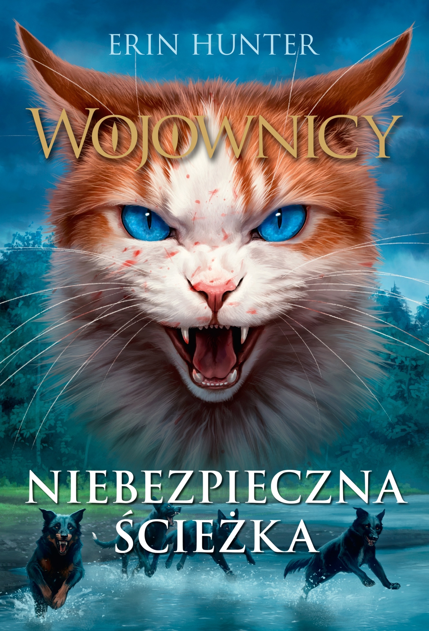 

Niebezpieczna Ścieżka Wojownicy Tom 5 Erin Hunter