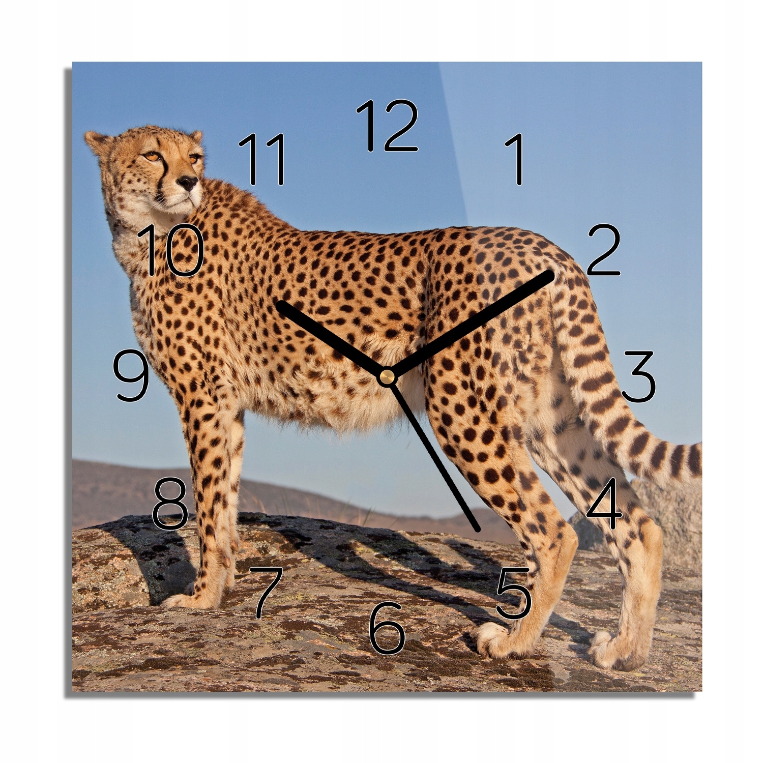 Gepard skála skleněný hodinový stroj s fotografií 30x30 tichý