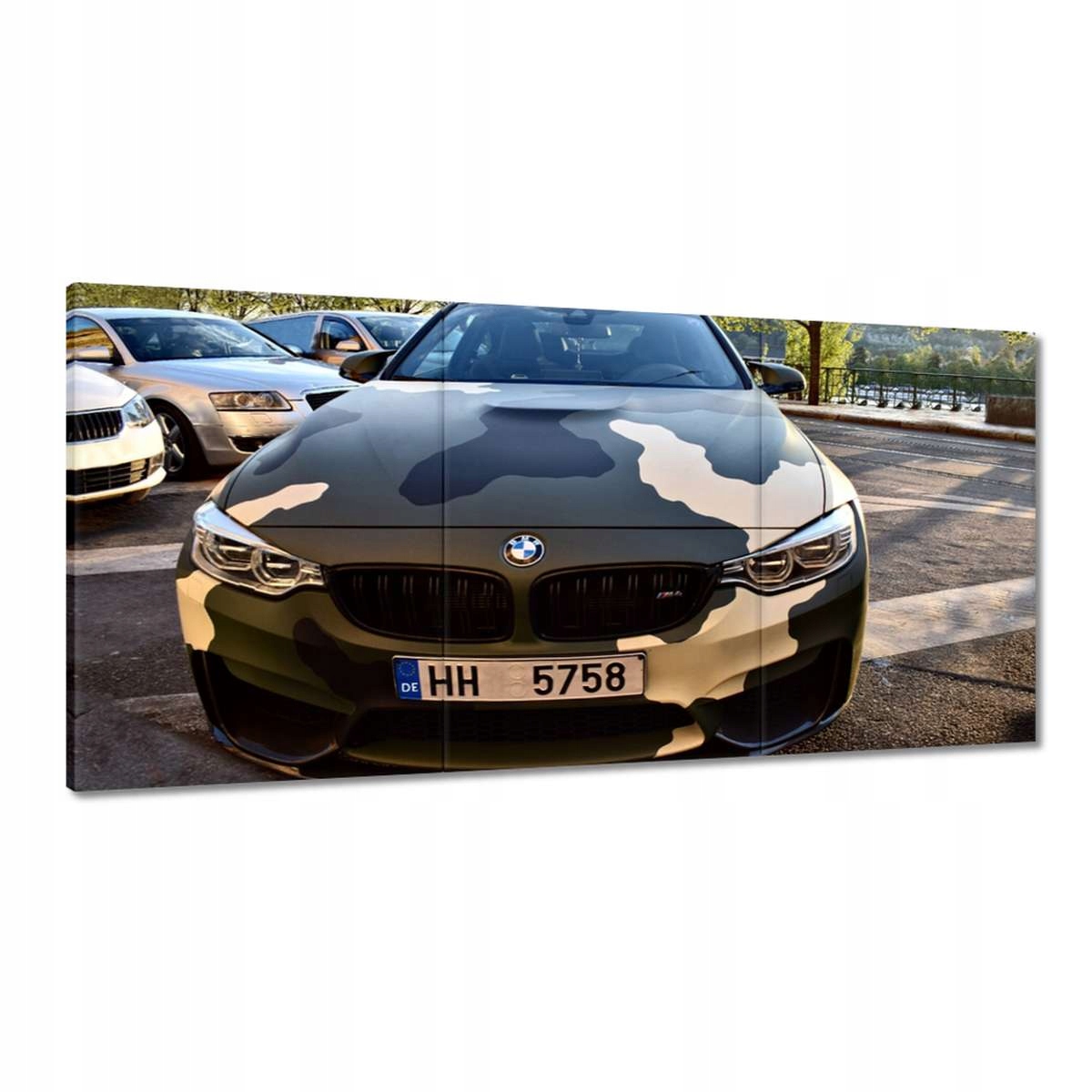 Obrazy 120x60 Morové Bmw M4