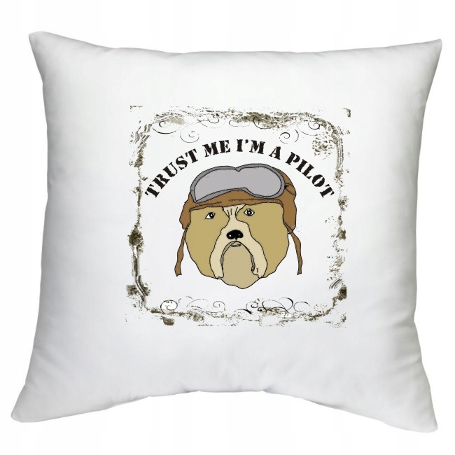 PODUSZKA samolot pilot latanie szybowiec WZORY Rodzaj dekoracyjna