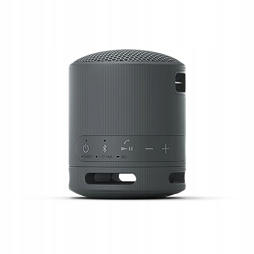 SONY SRS-XB100 Przenośny Głośnik Bluetooth Wodoodporny IP67 16h Czas Pracy — miniatura 9