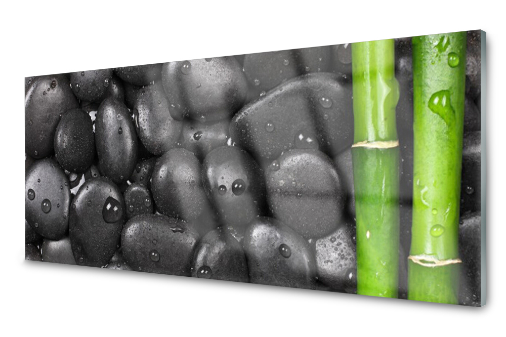 

Panel szklany do kuchni Bambus Łodyga 125x50