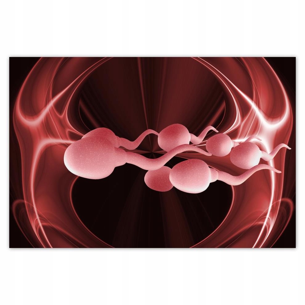 

Plakaty 60x40 Weź się przytul