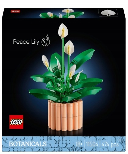 Lego stavebnice Botanicals 11504 Křídlokvětina