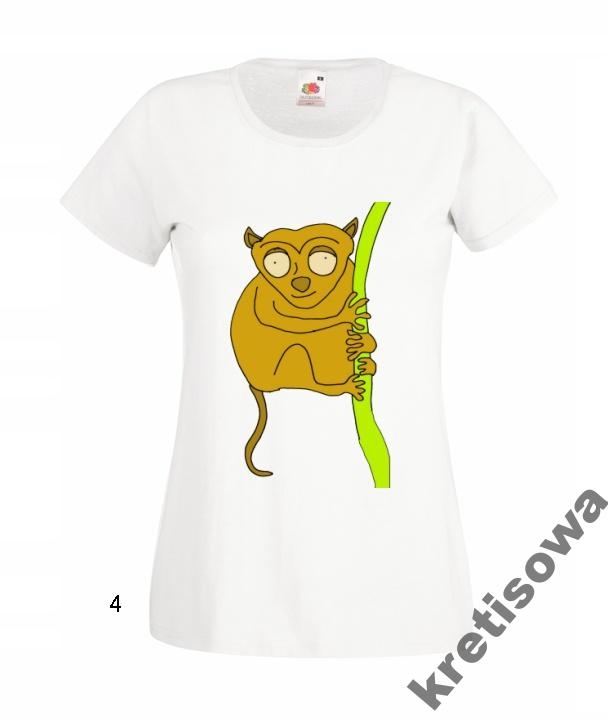 

Kolorowe Koszulki Śmieszne Lemur Lemury Wzory