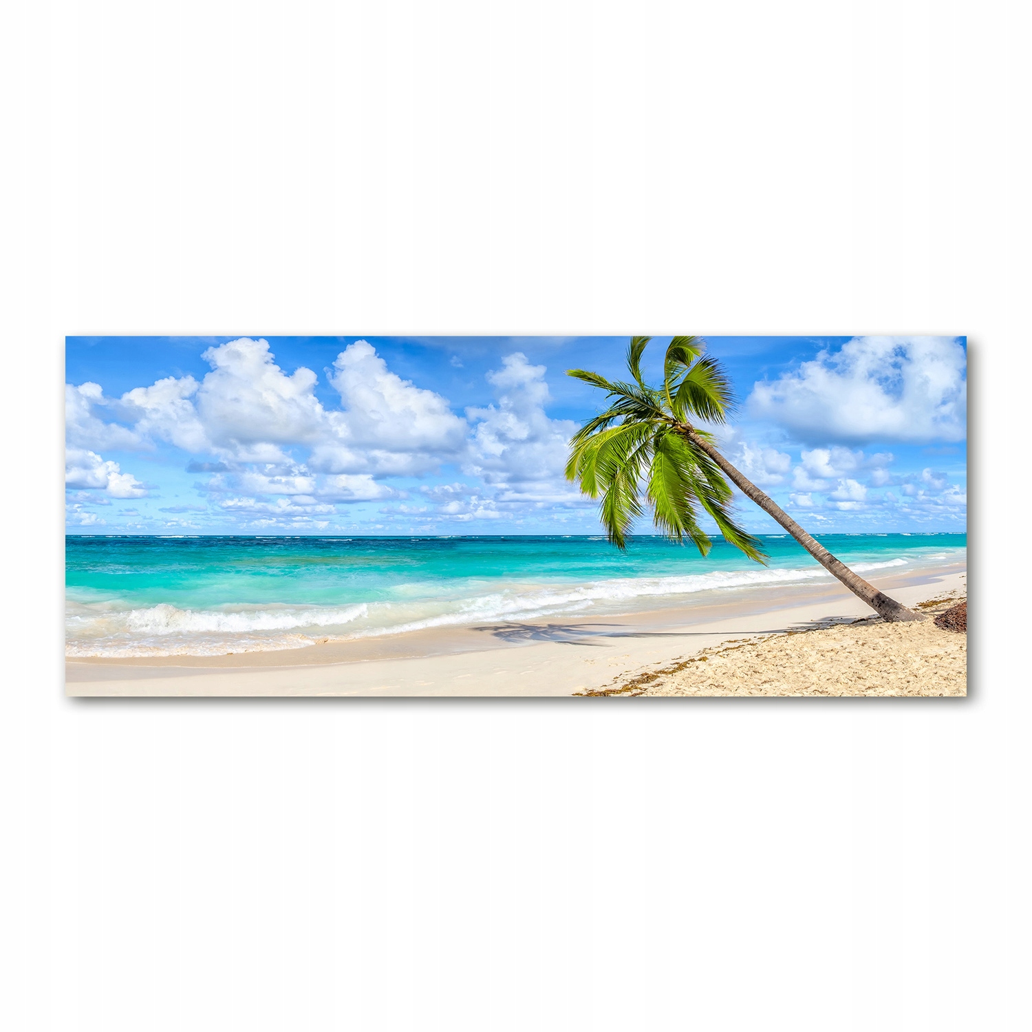 

Foto obraz szkło akryl Tropikalna plaża 125x50 cm