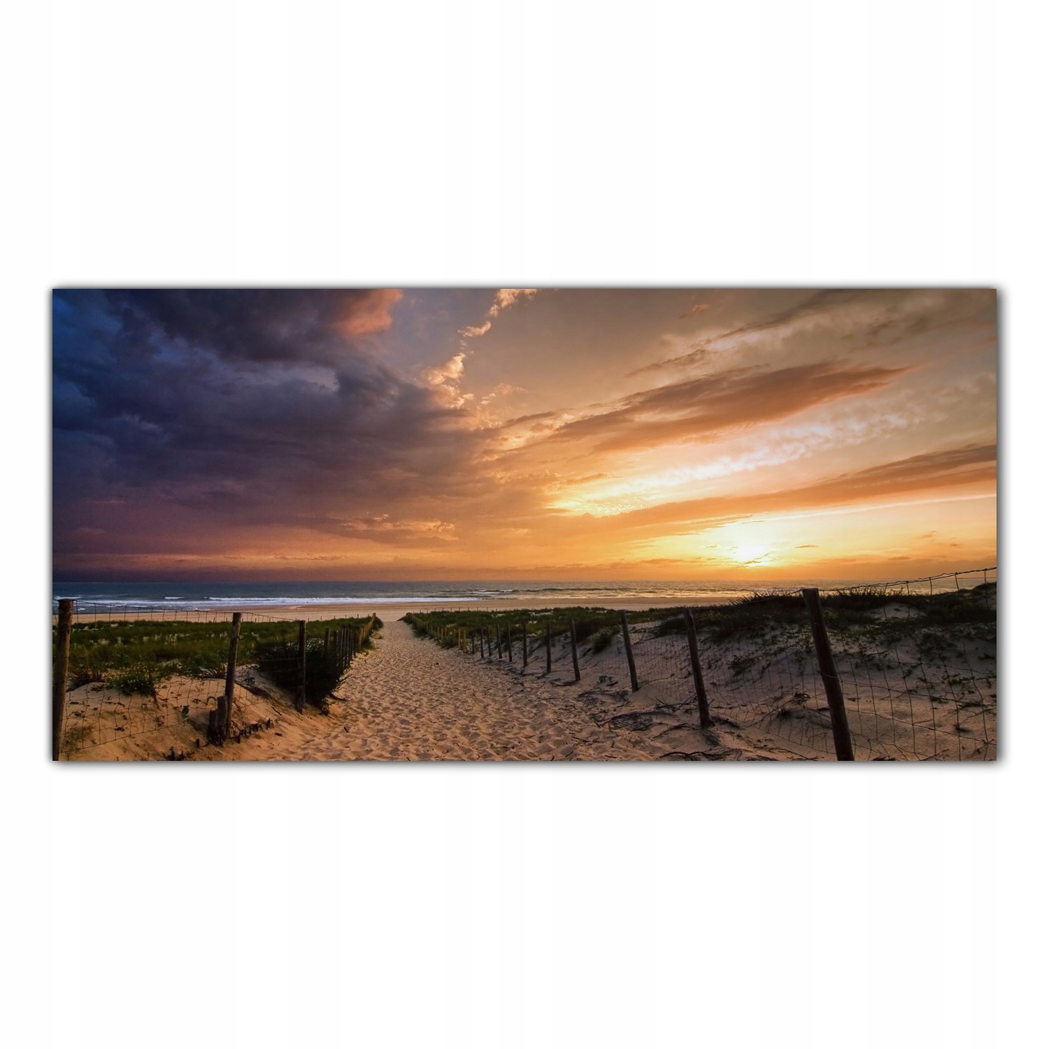

Obraz na szkle Foto Wydmy Wybrzeże Plaża 120x60
