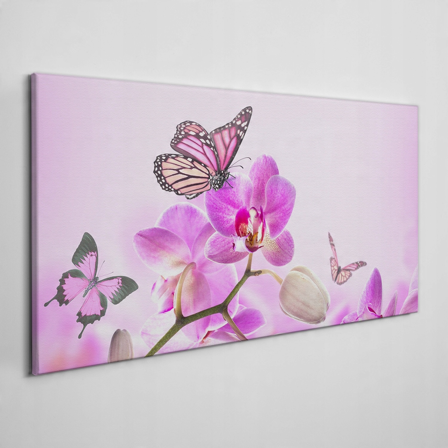 

Foto-obraz na płótnie Kwiaty natura motyl 140x70