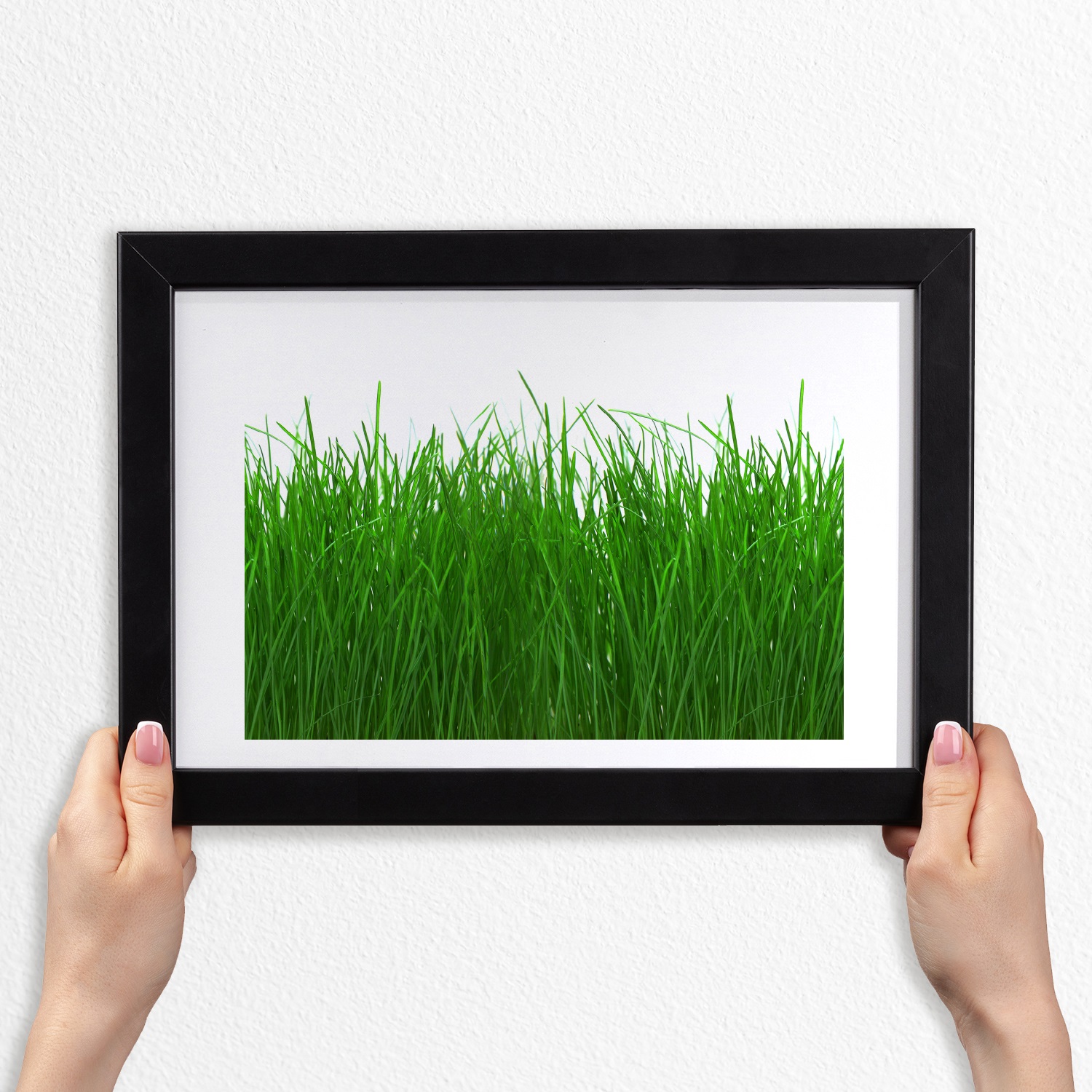 

Nowoczesny obraz zdjęcie z ramką Mdf Trawa 30x20