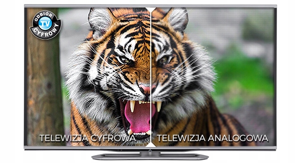 ANTENA TV POKOJOWA SAMOCHODOWA DVB-T WEWNĘTRZNA Marka LTC