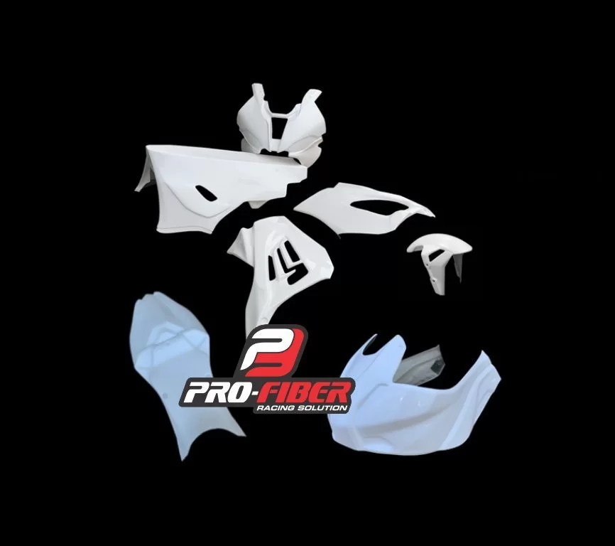 BMW S1000RR 2019 - СПОРТИВНЫЕ ОБТЕКАТЕЛИ - PRO-FIBER