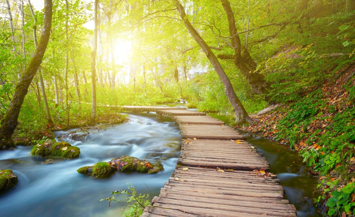 

Fototapeta Flizelinowa Kładka Park 416x254