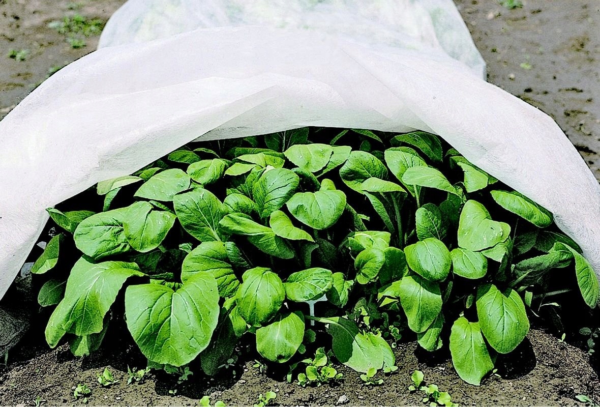 

Agrowłóknina Bradas biała 320 x 1000 cm 17 g/m²