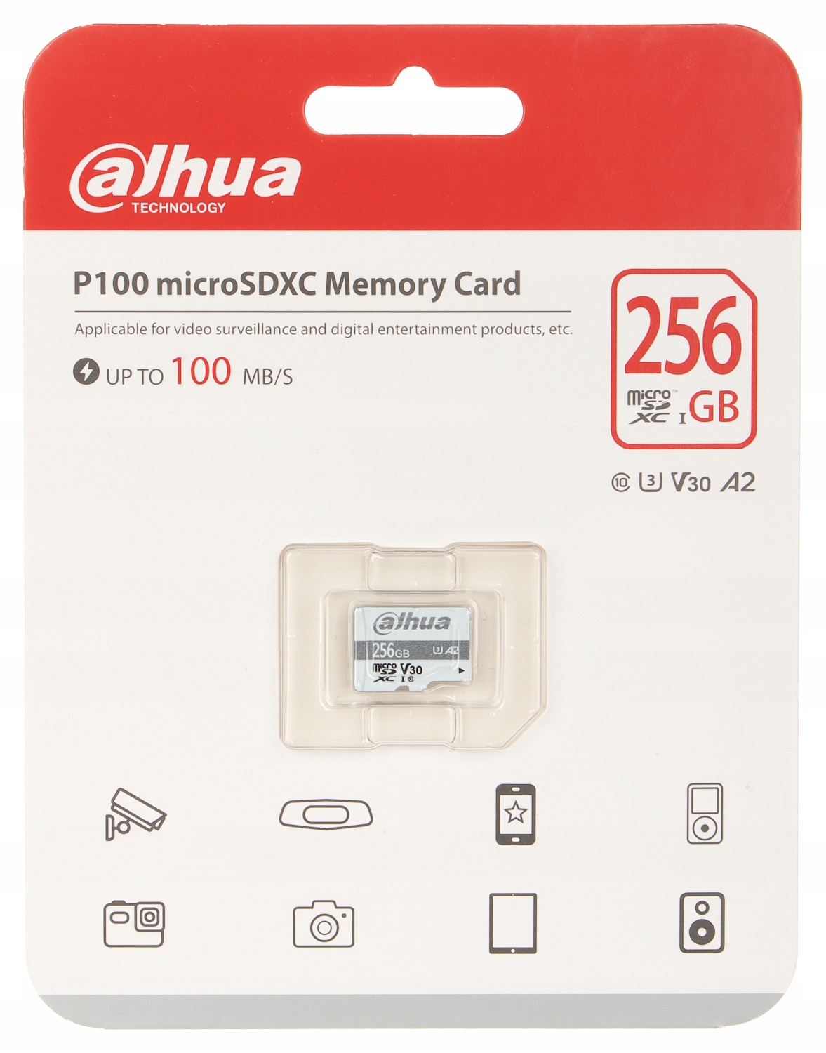 Paměťová karta microSD 256 Gb TF-P100/256 Gb Dahua