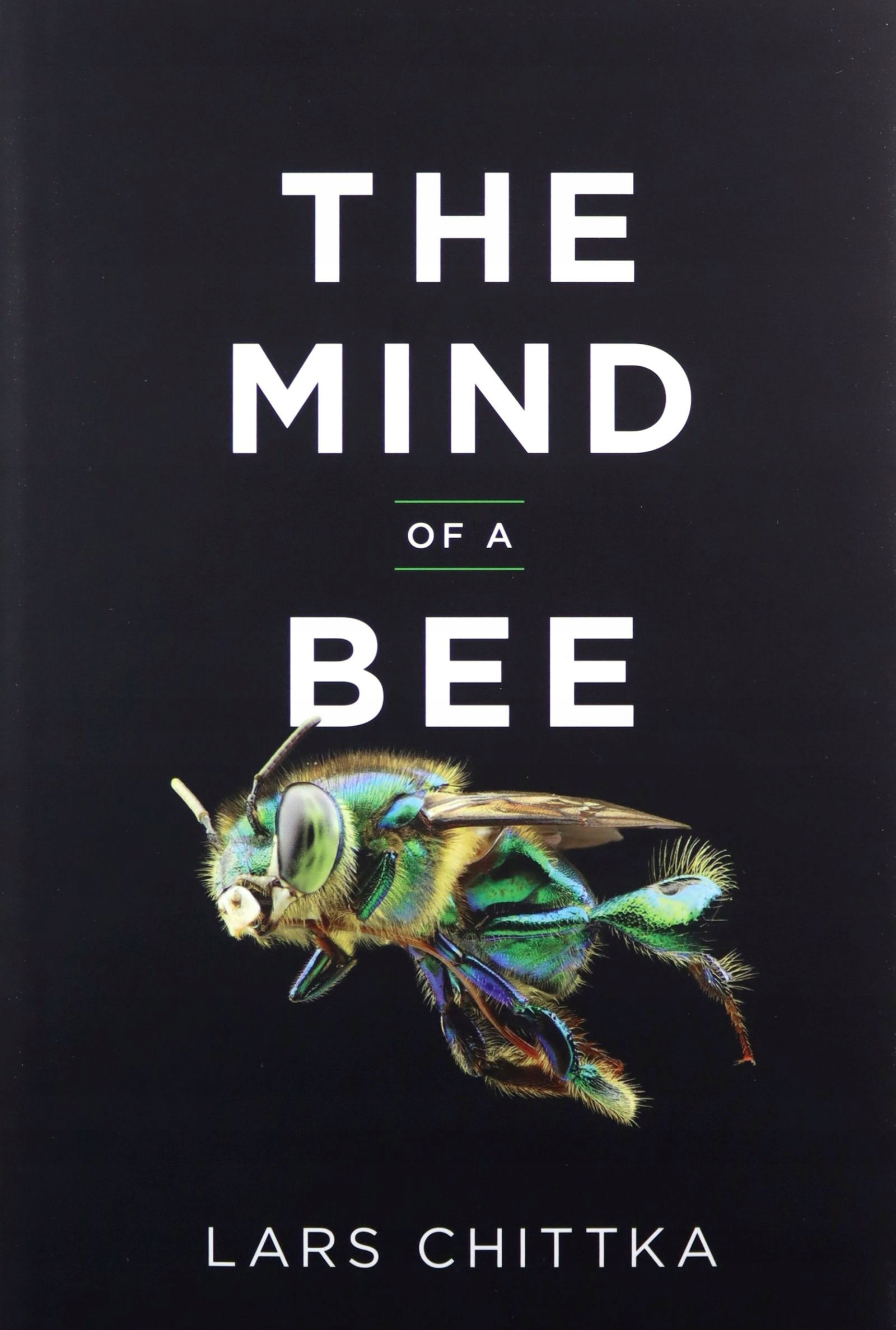 

The Mind Of A Bee Lars Chittka [książka]