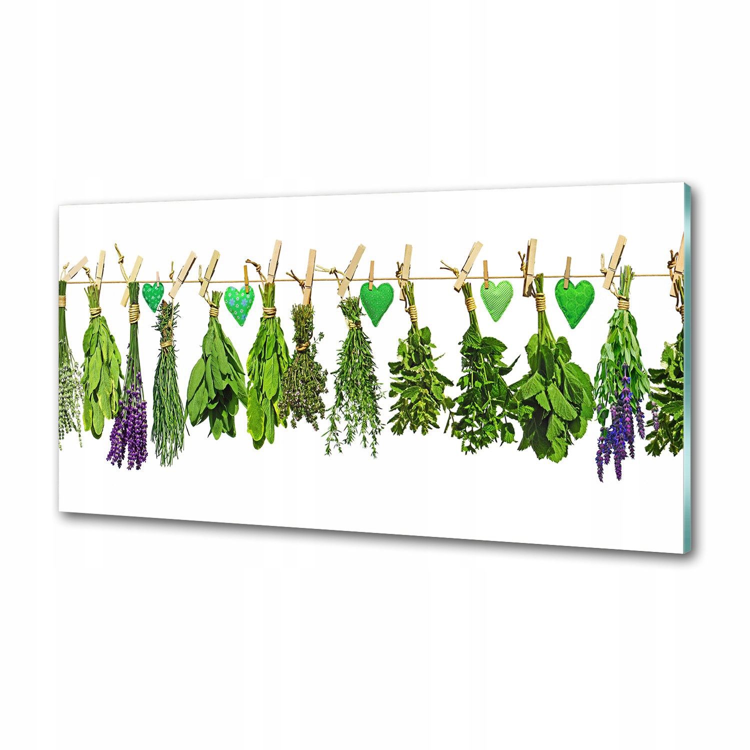 Panel do kuchyne Bylinky na šnúrke 100 x 50 cm Lepidlo