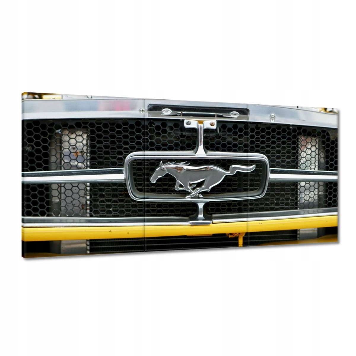 Obrazy 180x90 Známka Mustang Ford Usa