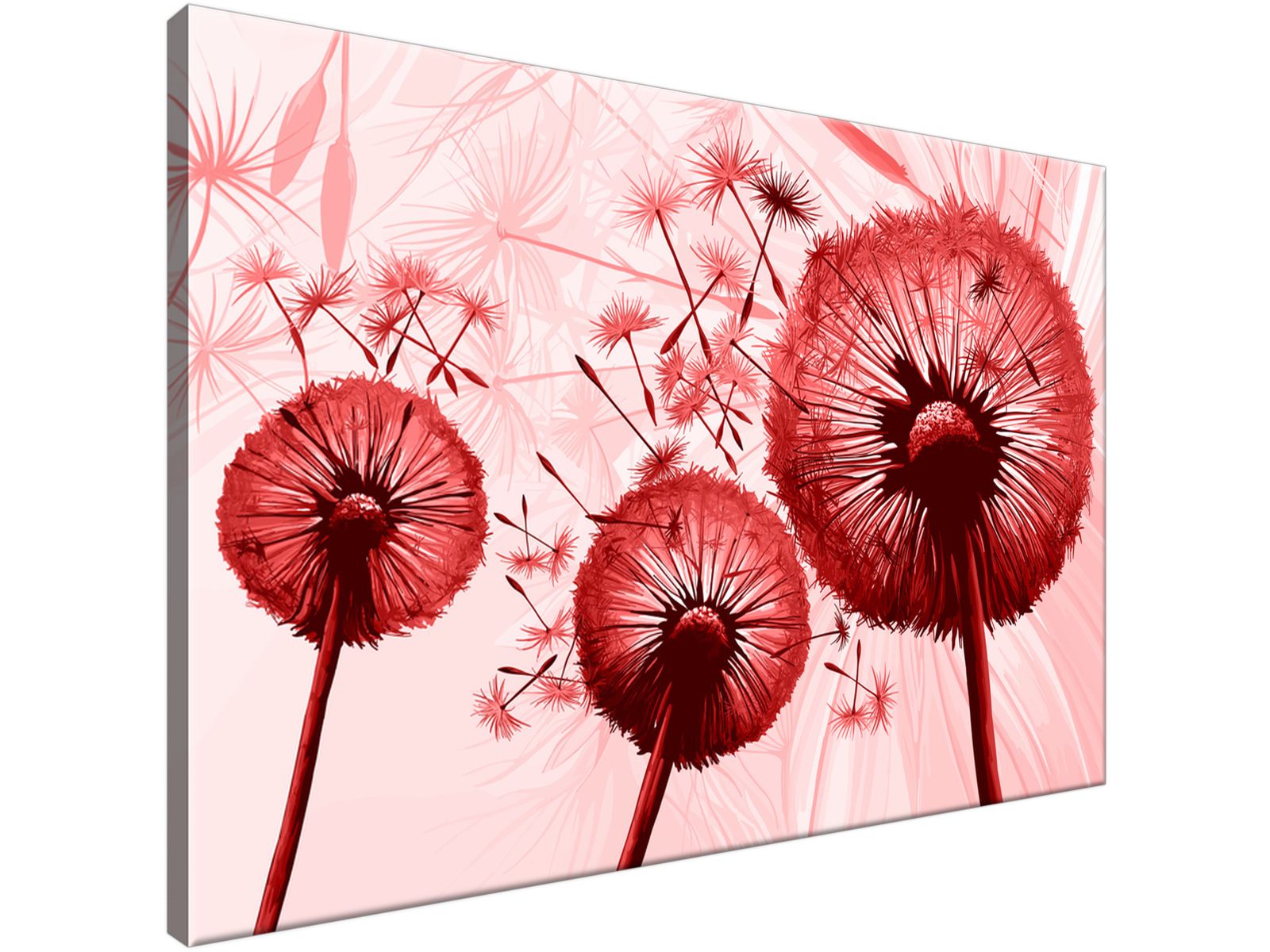 

Obraz drukowany Dmuchawce w czerwieni 90x60 super