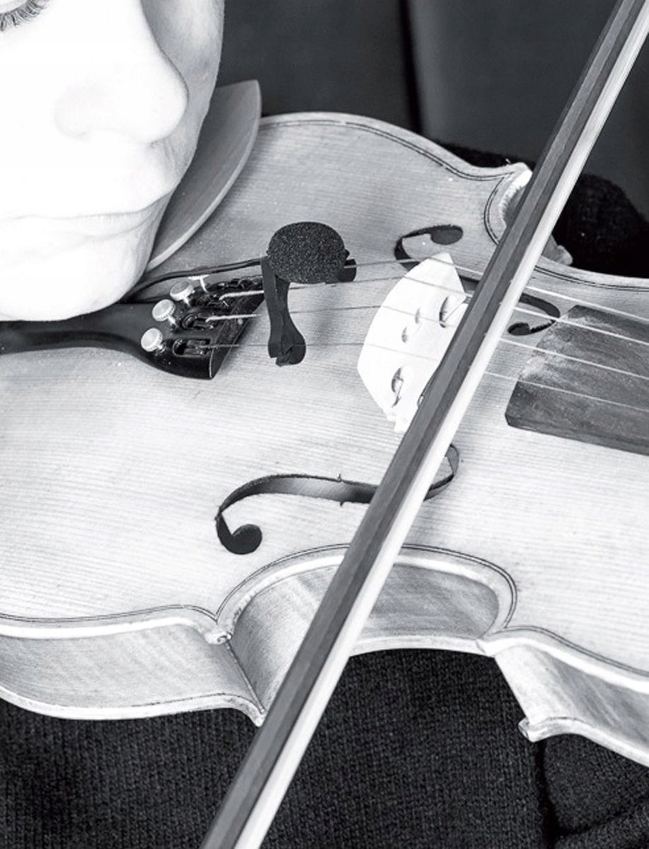 Prodipe VL21 - mikrofon instrumentalny Kod producenta VL21