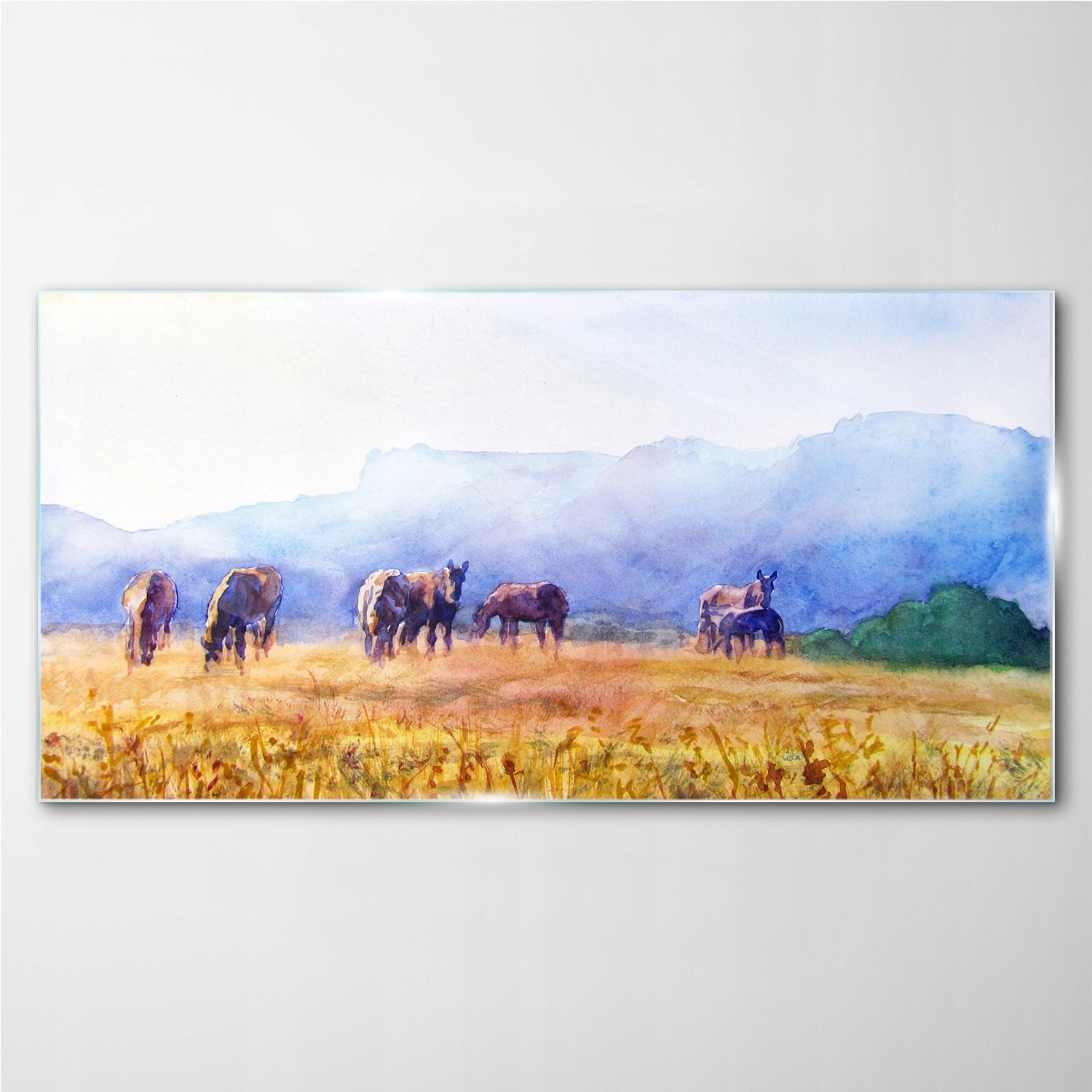 

Foto-obraz szklany Konie łąka natura 100x50 cm