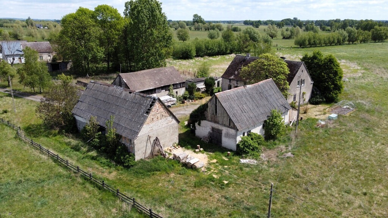 Dom, Pławin, Stare Kurowo, Strzelecko drezdenecki, 170 m²