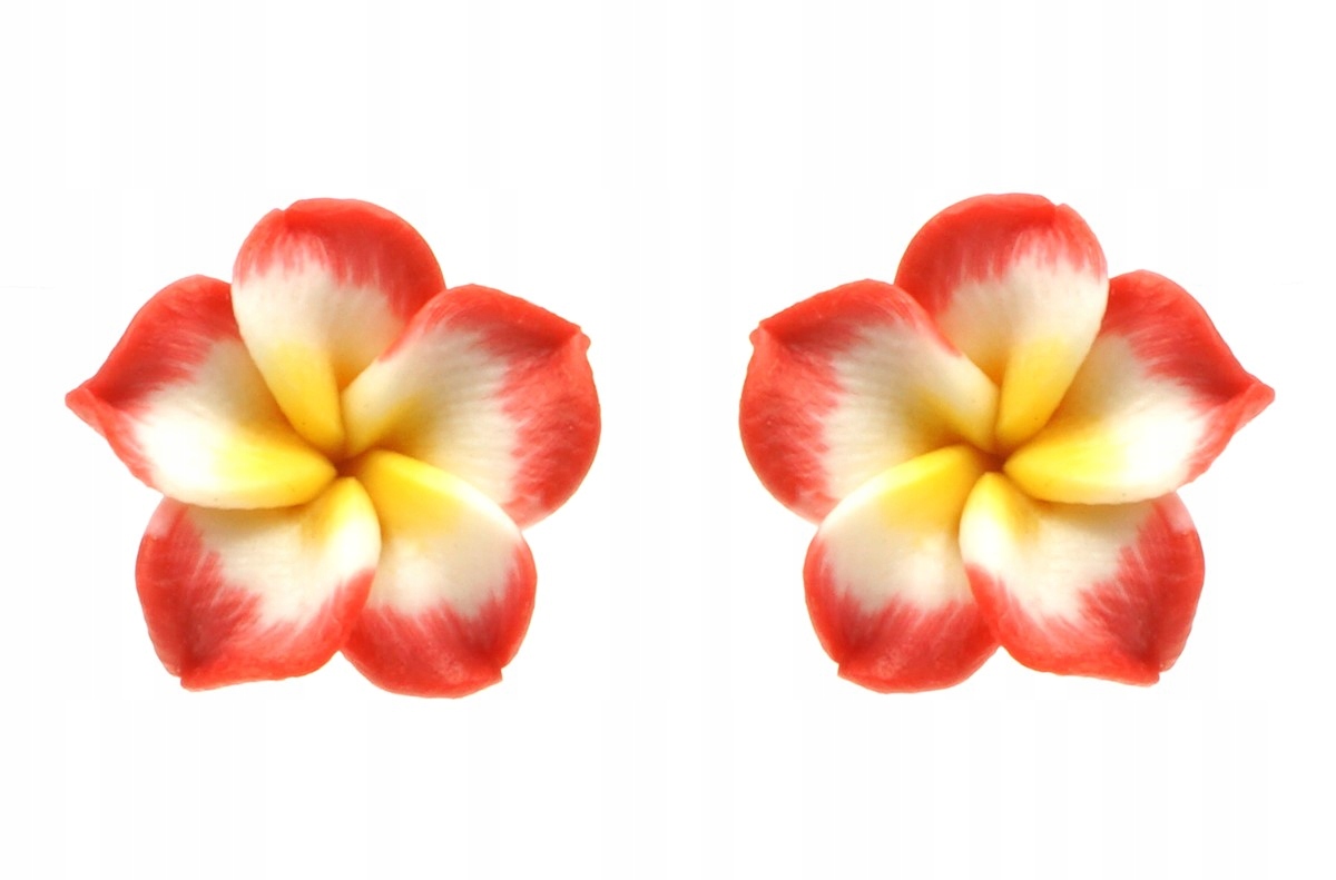 

Kolczyki kwiaty hawajskie czerwone białe z żółtym