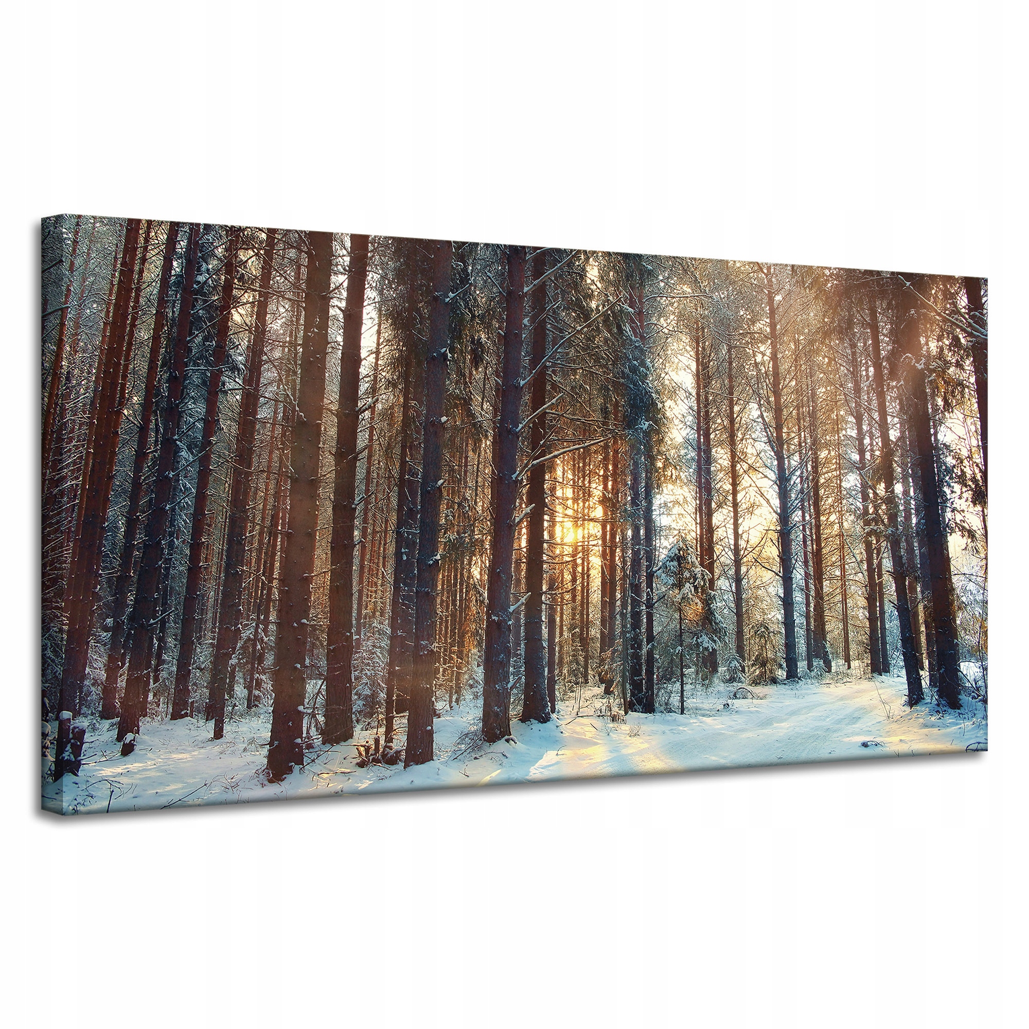 Obraz na plátně Les Zima Sníh Bílá Příroda 120x60 cm