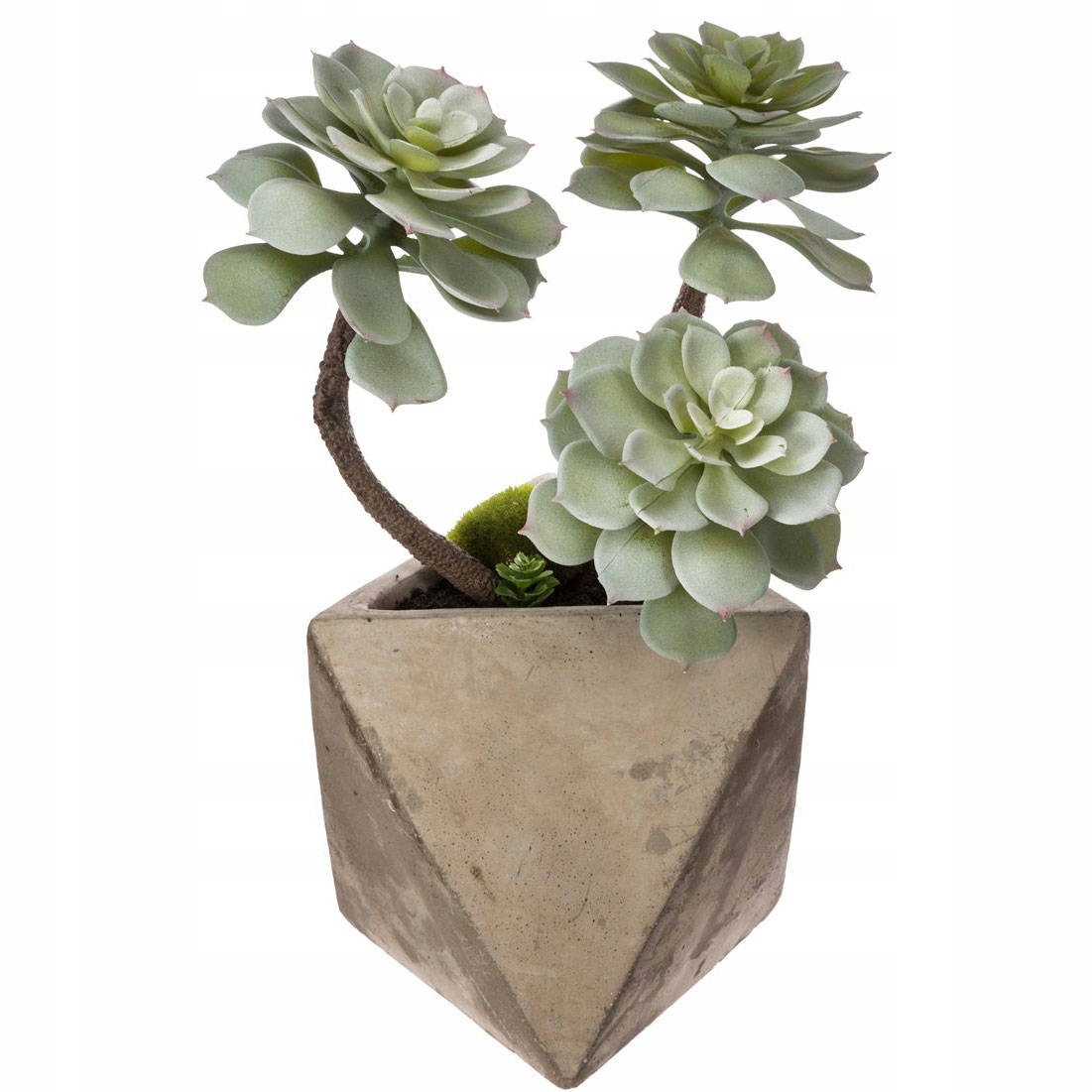 

Sukulent sztuczny w Cementowej Doniczce 30x15 cm