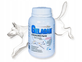 Gelacan Chondro Forte 150 g