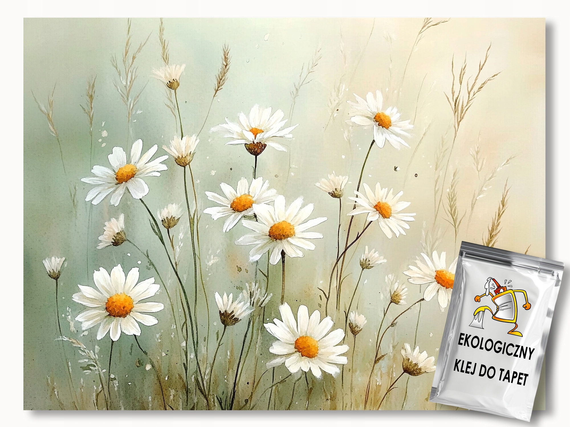 Fototapeta Flizelina Zahrada Louka Květiny Sedmikrásky Kopretiny 200x140 lepidlo