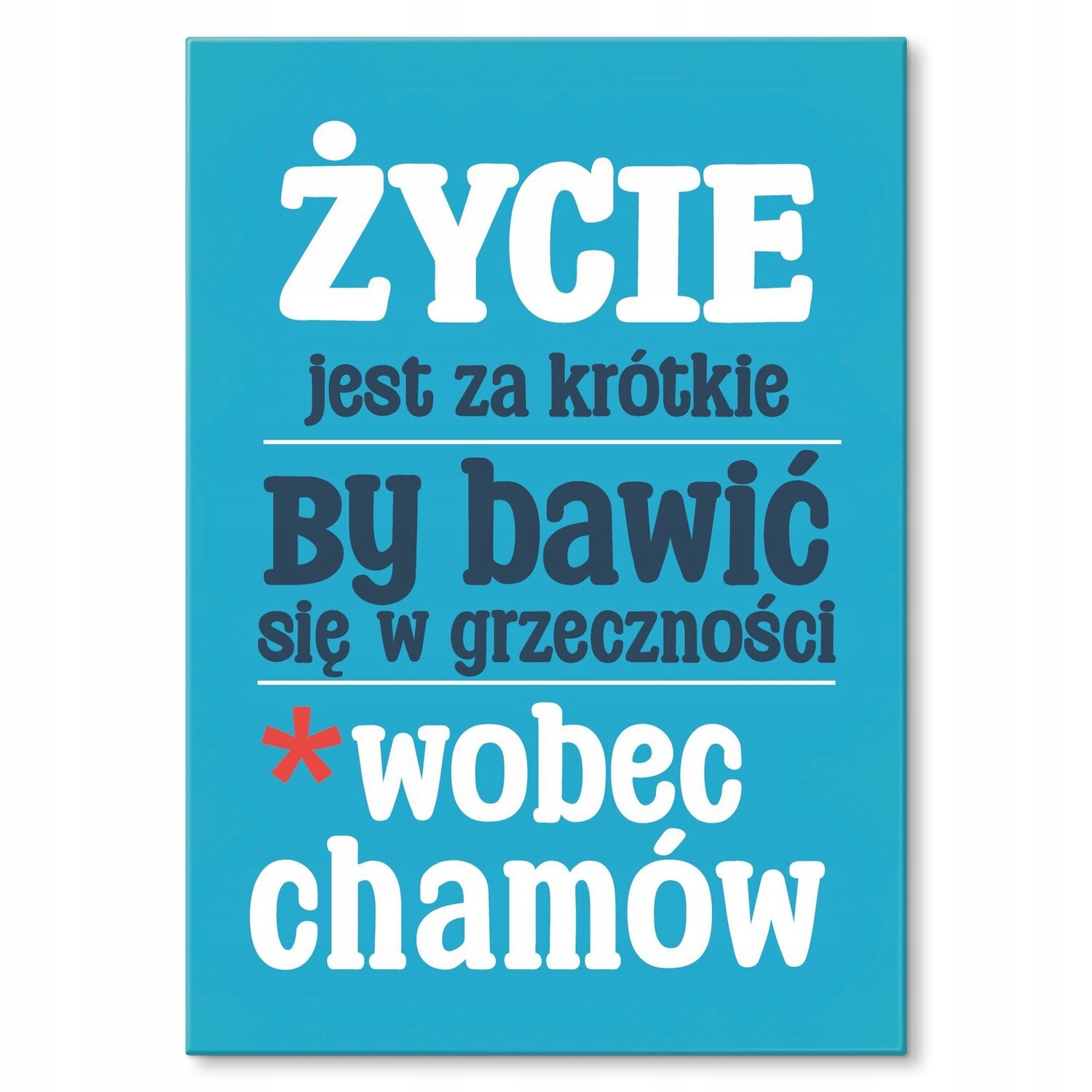 Kovový plakát zdvořilosti Šidítko Plech 42 x 59,4 cm Dárek