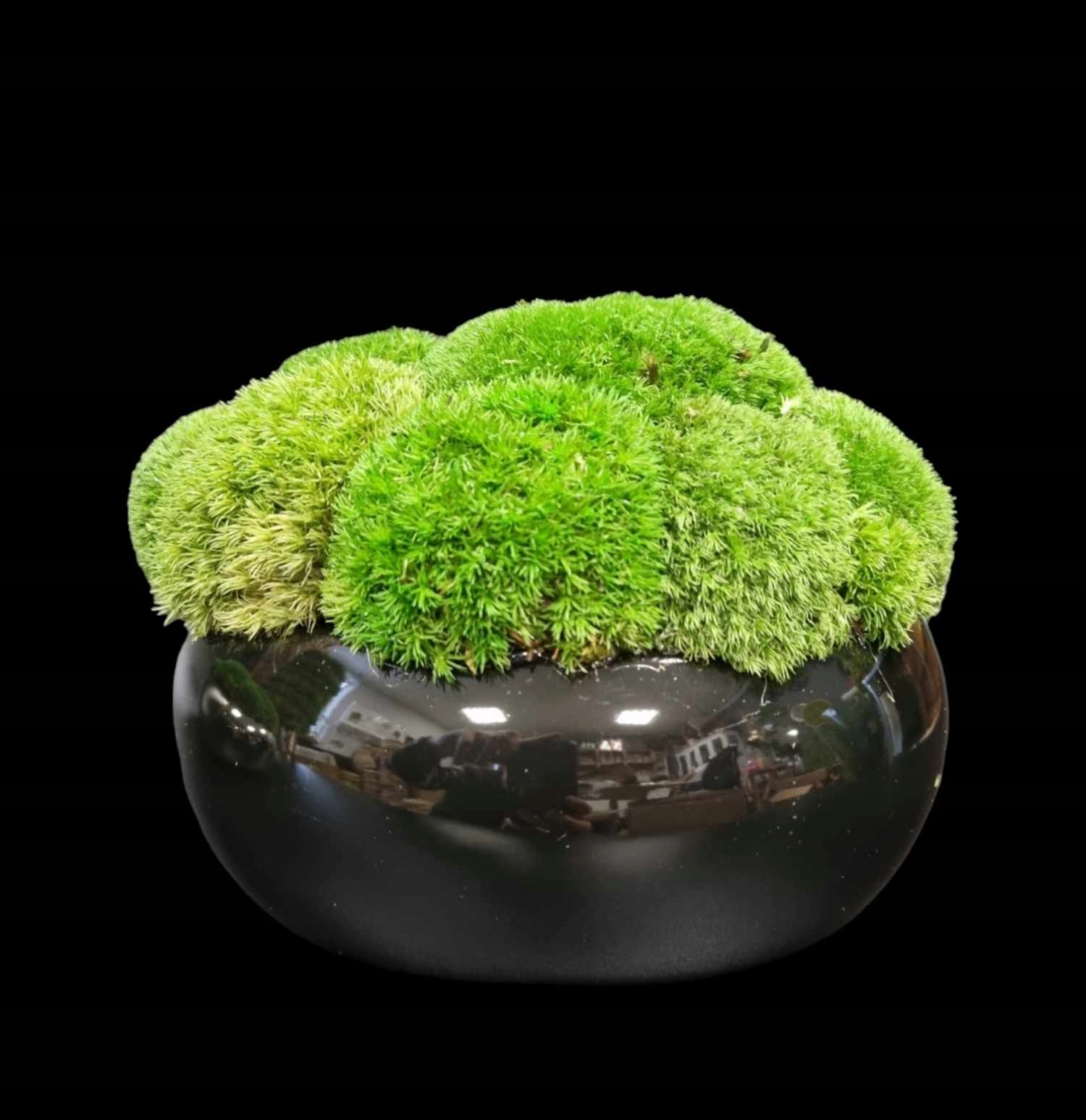 KOMPOZYCJA Z MCHU Marka bez marki