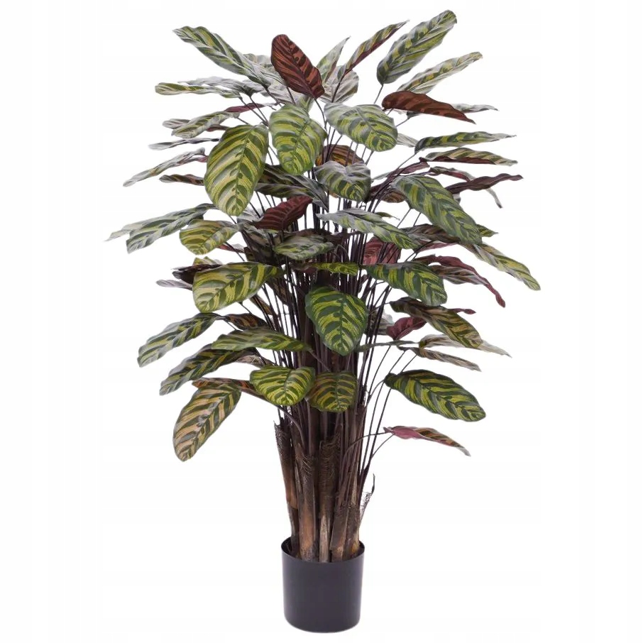 Sztuczna Calathea Makoyana 115 Deluxe Jak Żywa Duża Roślina Wystrój Design