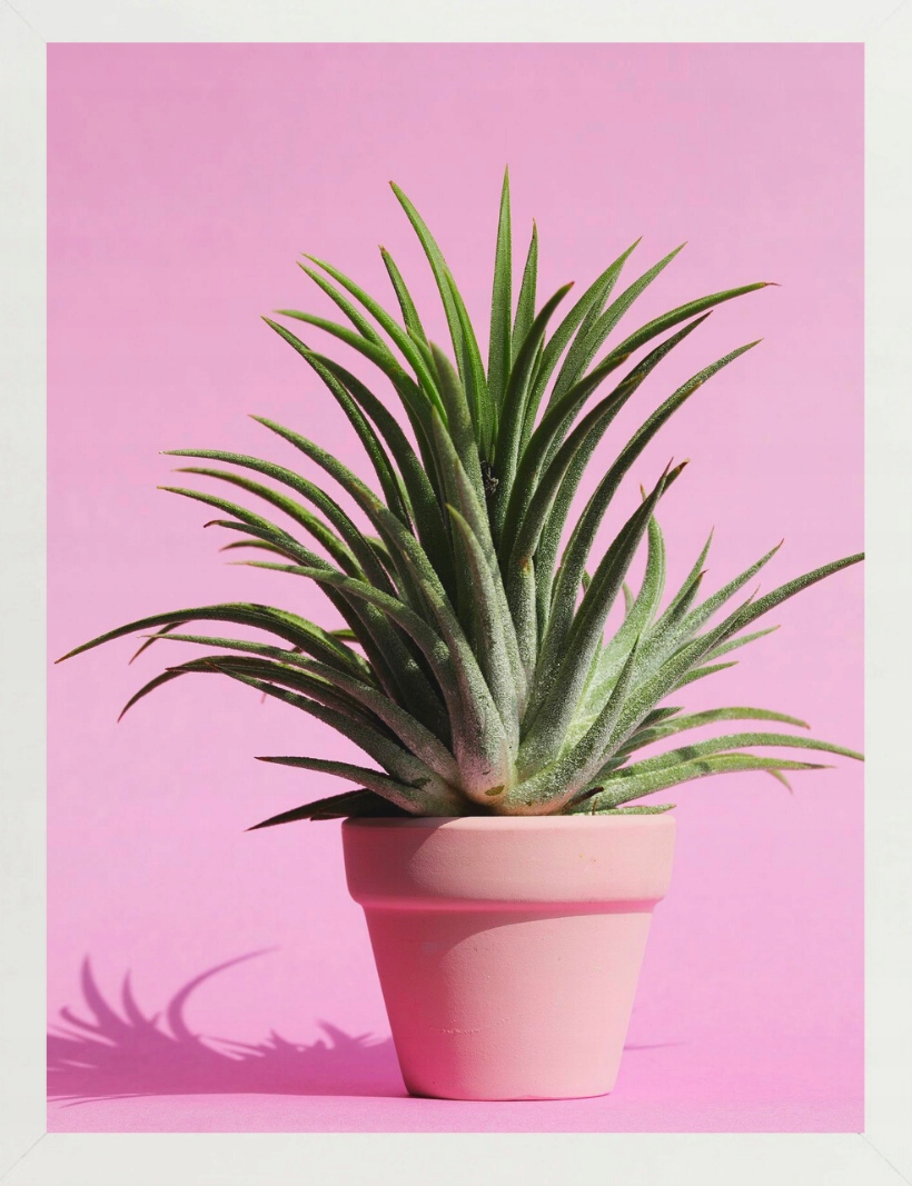 

Ramka na zdjęcia 30x40 biała ramki Mdf P18