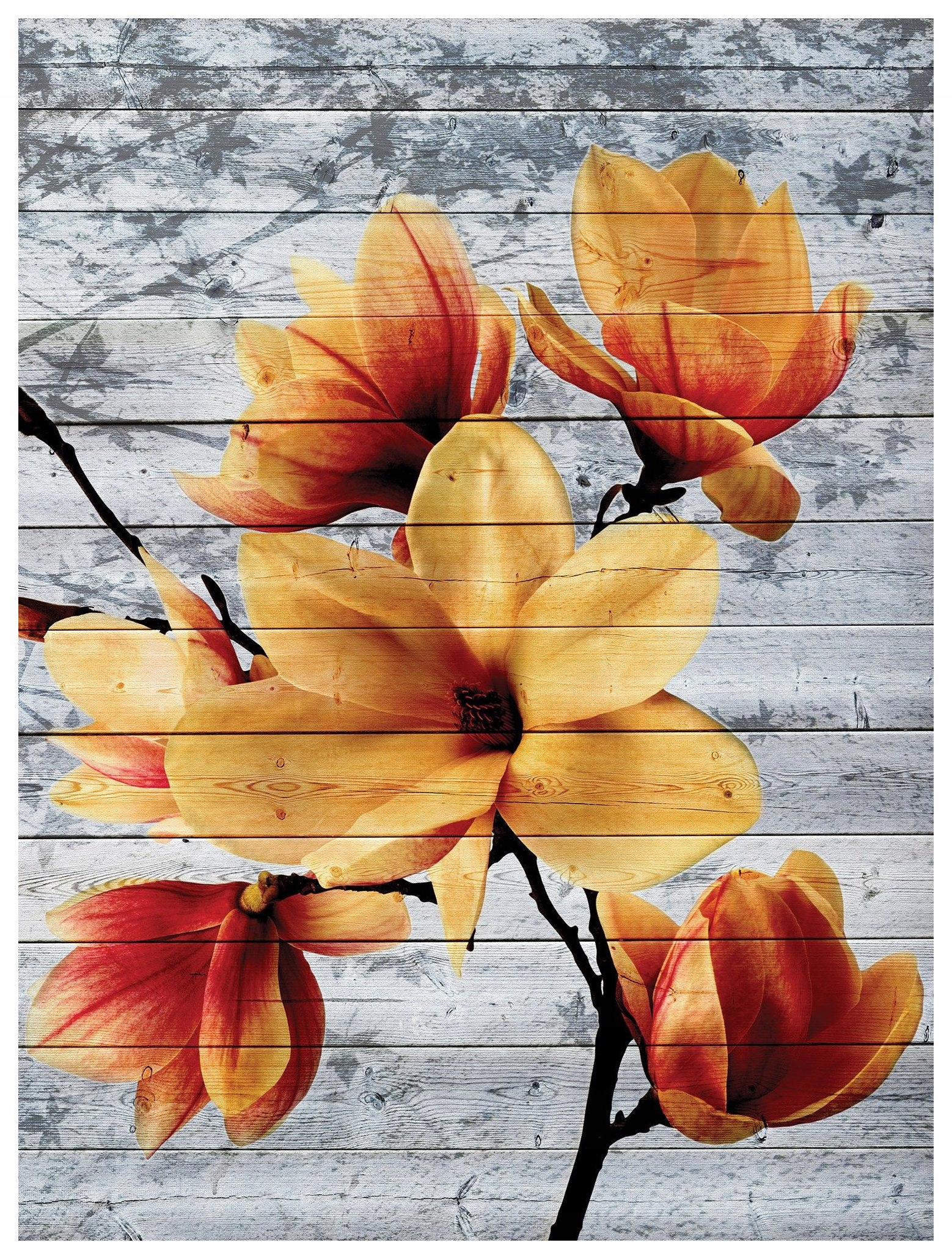 Fototapeta Magnolie rustikální vinylová na desky oranžová 184x254 lepidlo