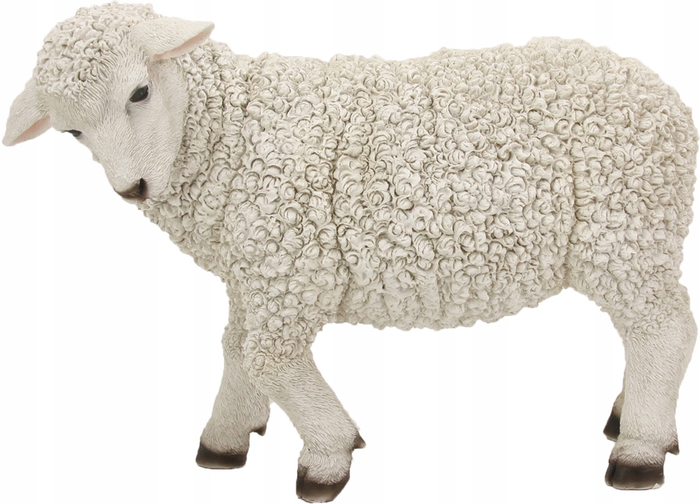 Veľká Ovca, Pozerajúca Na Ľavú Stranu do betlehemov – výška 28,0 cm, výška do figúrok 60-80 cm