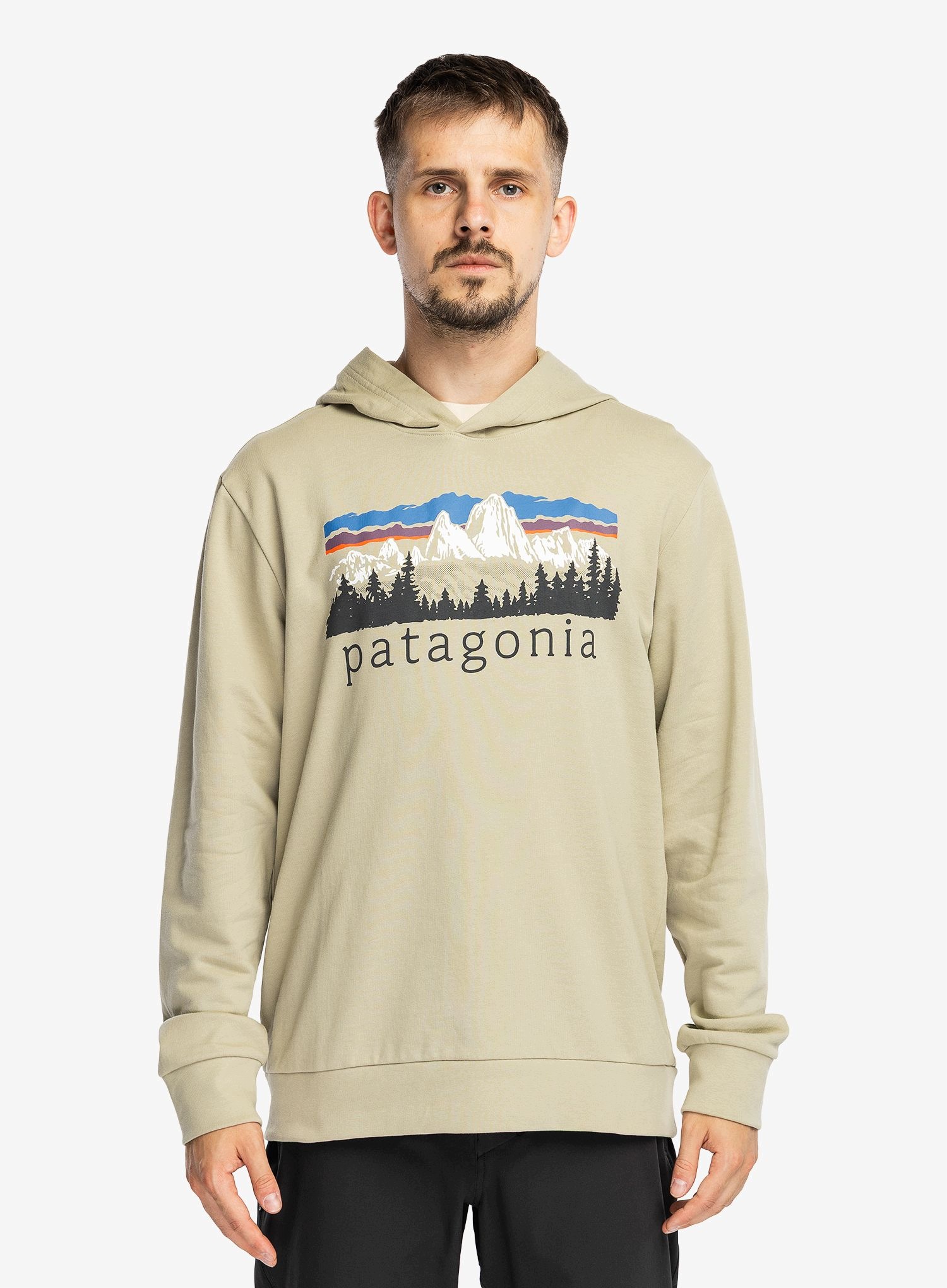 Bluza męska Patagonia Fitz Roy Foothills Daily Hoody Weathered Stone L