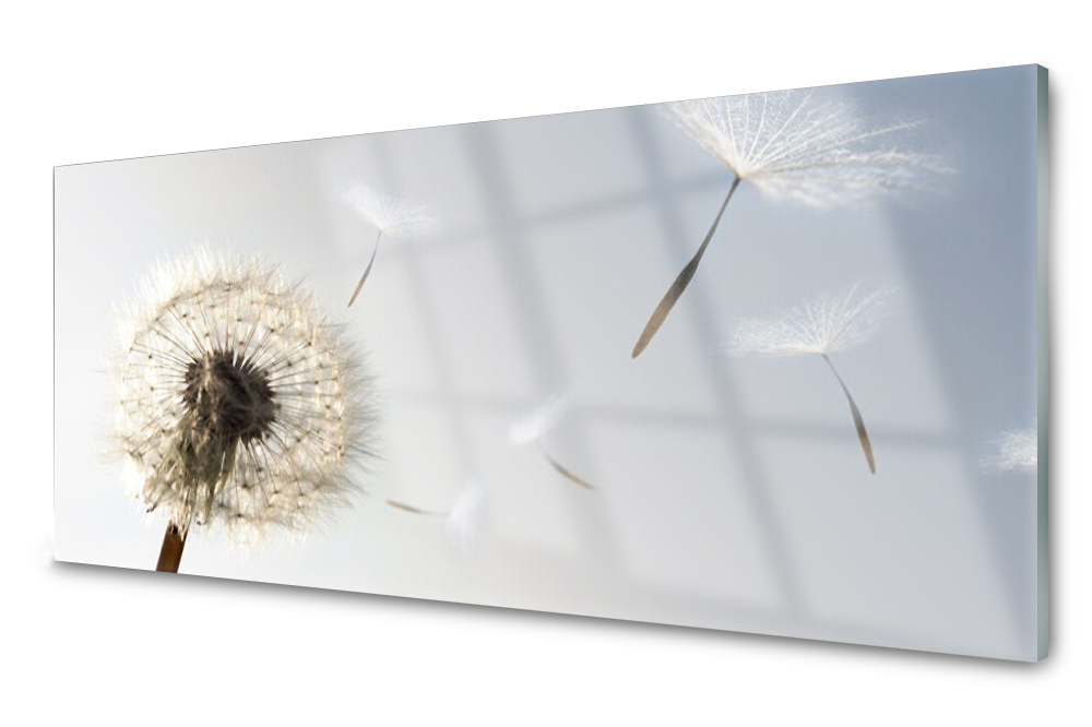 

Panel szklany do kuchni Dmuchawiec Kwiaty 125x50