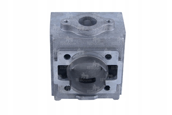 C2162100FDO - Циліндр, головка для насоса COMET