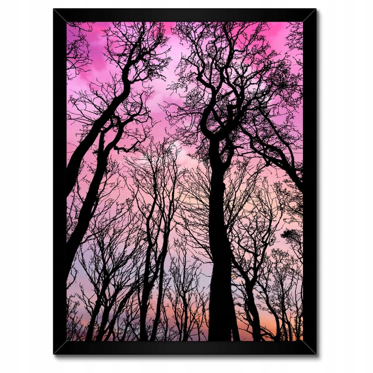 Plakáty v rámu 30x40 Les Stromy Pohled zdola