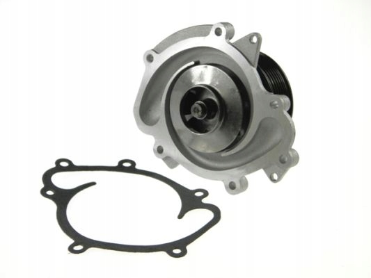 Насосу воду NTY CPW-CH-024