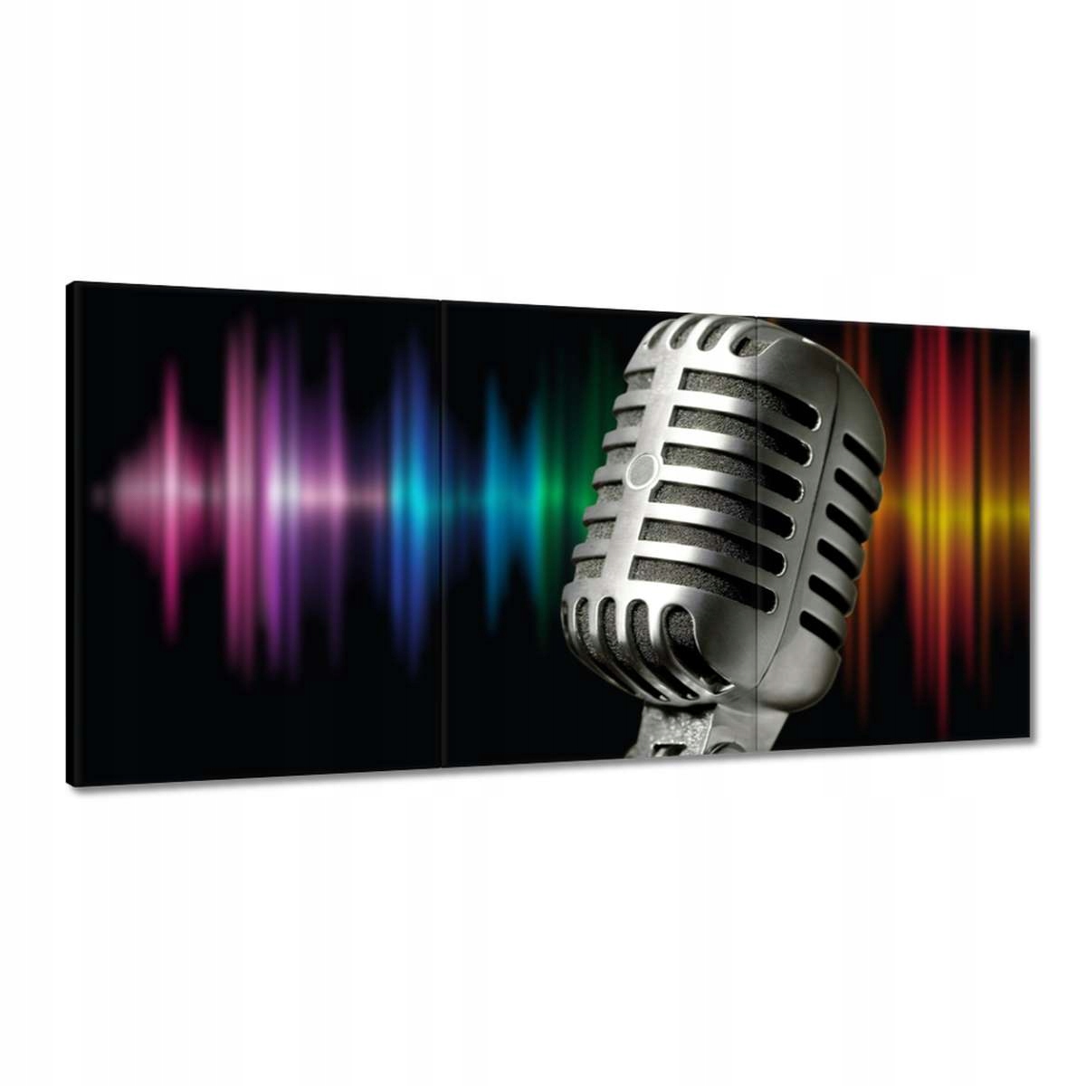 Obrazy 180x90 Mikrofon