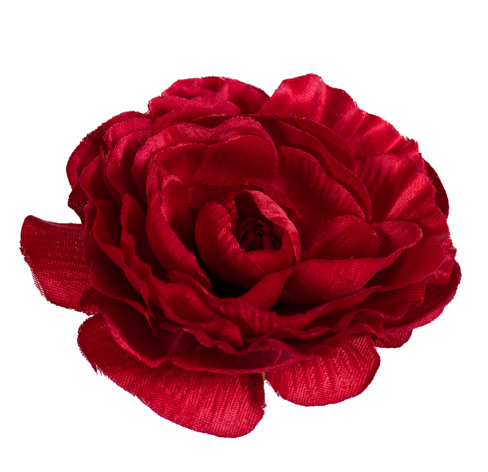 Kamelka główka czerwona