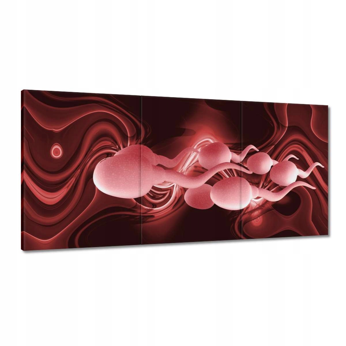 Obrazy 180x90 Kdo jsi?