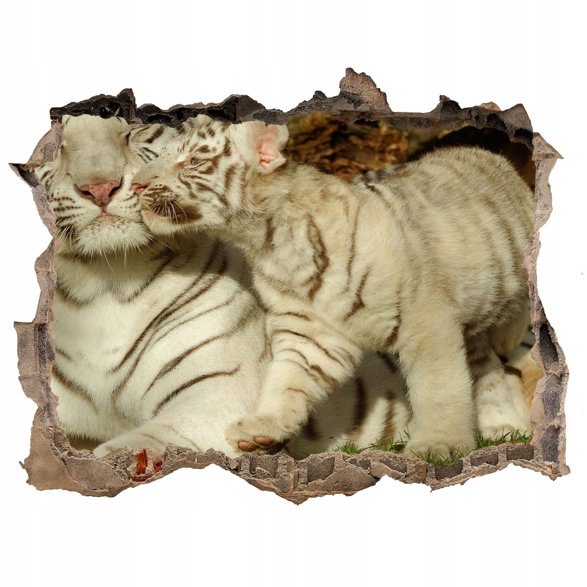 

Dziura 3d okleina Naklejka ścienna Tygrysy 168x113
