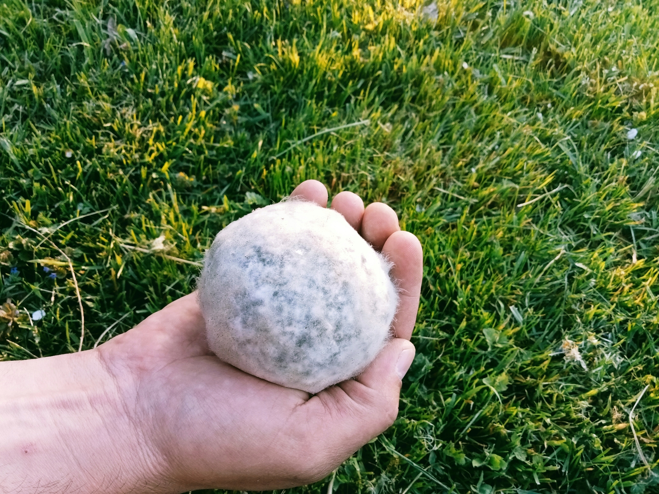 KULE BOKASHI OCZYSZCZANIE WODY STAWY OCZKA WODNE JEZIORA 1SZT Marka inna